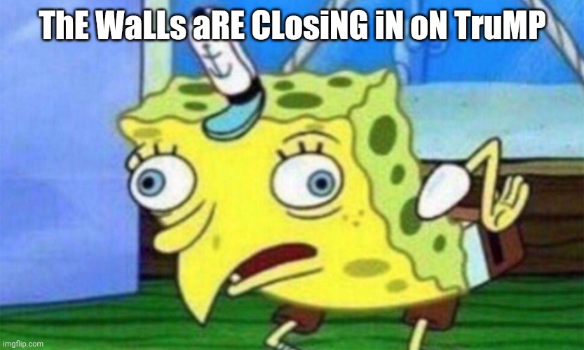 spongebob stupid | ThE WaLLs aRE CLosiNG iN oN TruMP | image tagged in spongebob stupid | made w/ Imgflip meme maker