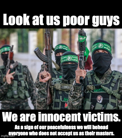 Poor Hamas guys | Look at us poor guys; We are innocent victims. As a sign of our peacefulness we will behead everyone who does not accept us as their masters. | made w/ Imgflip meme maker