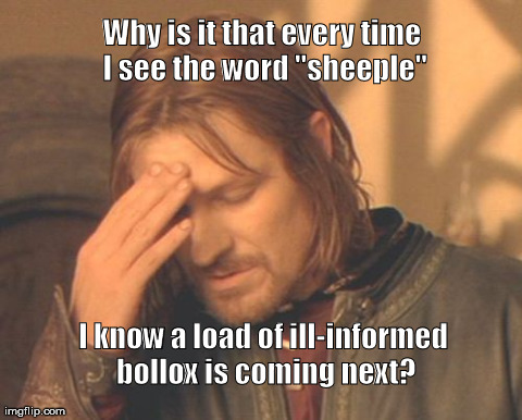 Frustrated Boromir Meme | Why is it that every time I see the word "sheeple" I know a load of ill-informed bollox is coming next? | image tagged in memes,frustrated boromir | made w/ Imgflip meme maker