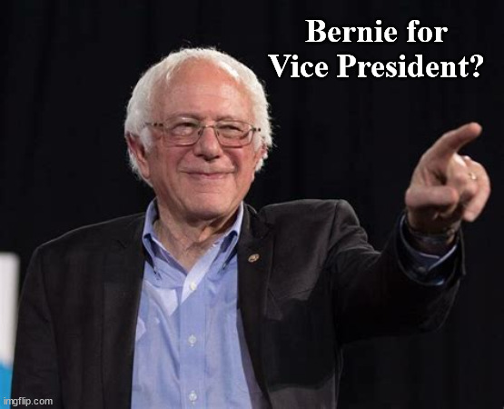 Vice President Sanders | Bernie for Vice President? | image tagged in bernie | made w/ Imgflip meme maker