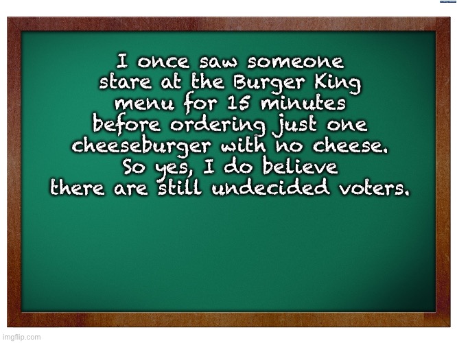Undecided | I once saw someone stare at the Burger King menu for 15 minutes before ordering just one cheeseburger with no cheese. So yes, I do believe there are still undecided voters. | image tagged in green blank blackboard | made w/ Imgflip meme maker