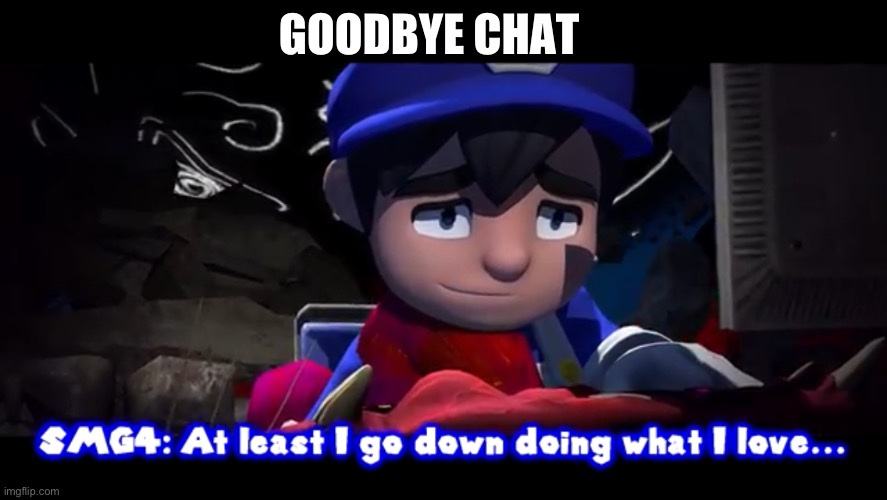 Pichus final message | GOODBYE CHAT | image tagged in iswtg,if,vic,goes,on,here | made w/ Imgflip meme maker