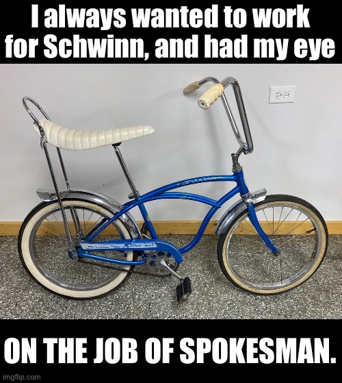 Schwinn | I always wanted to work for Schwinn, and had my eye; ON THE JOB OF SPOKESMAN. | image tagged in bad pun | made w/ Imgflip meme maker