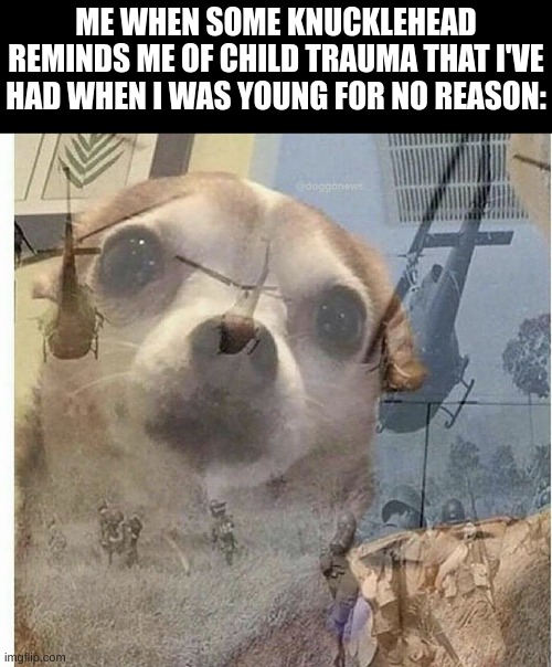 PTSD Chihuahua | ME WHEN SOME KNUCKLEHEAD REMINDS ME OF CHILD TRAUMA THAT I'VE HAD WHEN I WAS YOUNG FOR NO REASON: | image tagged in ptsd chihuahua,doge,dog,dogs,doggie | made w/ Imgflip meme maker