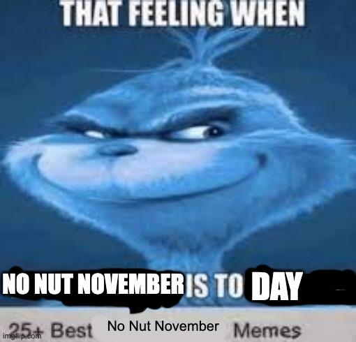 yeah | DAY; NO NUT NOVEMBER; No Nut November | image tagged in that feeling when knee surgery is tomorrow | made w/ Imgflip meme maker