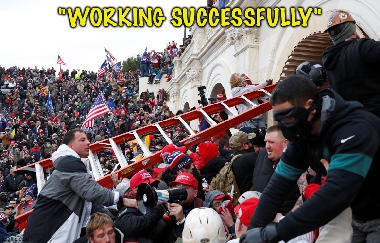 Qanon - Insurrection - Trump riot - sedition | "WORKING SUCCESSFULLY" | image tagged in qanon - insurrection - trump riot - sedition | made w/ Imgflip meme maker