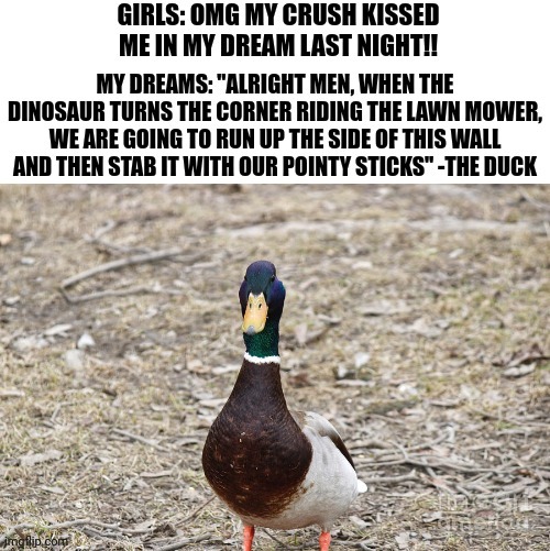 Fresh meme | image tagged in duck,dreams,boys vs girls | made w/ Imgflip meme maker