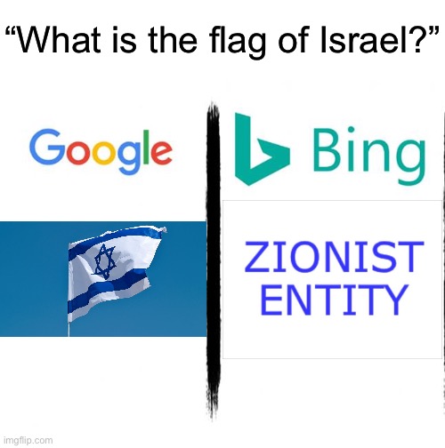 We need to start a petition to call “Israel” Zionist entity again | “What is the flag of Israel?” | image tagged in google v bing | made w/ Imgflip meme maker