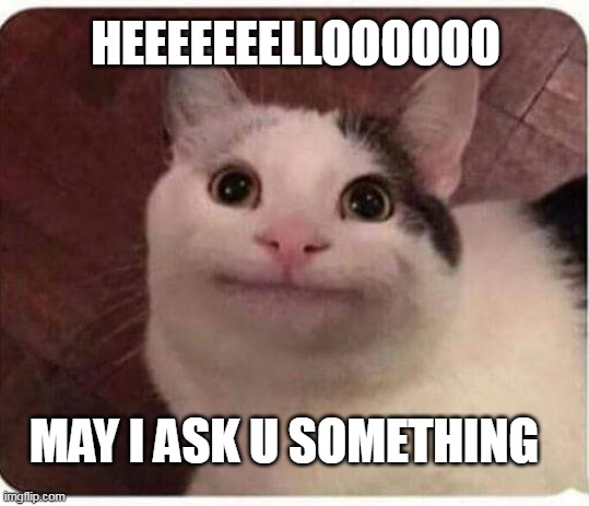 Polite Cat | HEEEEEEELLOOOOOO; MAY I ASK U SOMETHING | image tagged in polite cat | made w/ Imgflip meme maker