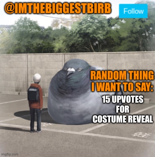 Why not | 15 UPVOTES FOR COSTUME REVEAL | image tagged in biggestbirb announcement template | made w/ Imgflip meme maker
