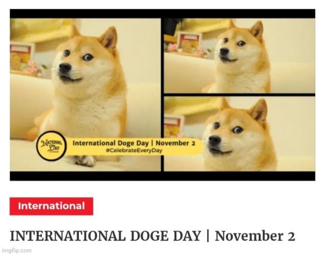 Guys! Tomorrow we celebrate Cheems! | image tagged in doge,cheems | made w/ Imgflip meme maker