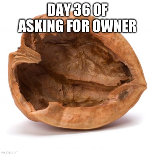 Nutshell | DAY 36 OF ASKING FOR OWNER | image tagged in nutshell | made w/ Imgflip meme maker