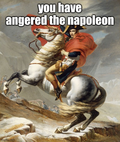 Napoleon Bonaparte on Horse | you have angered the napoleon | image tagged in napoleon bonaparte on horse | made w/ Imgflip meme maker