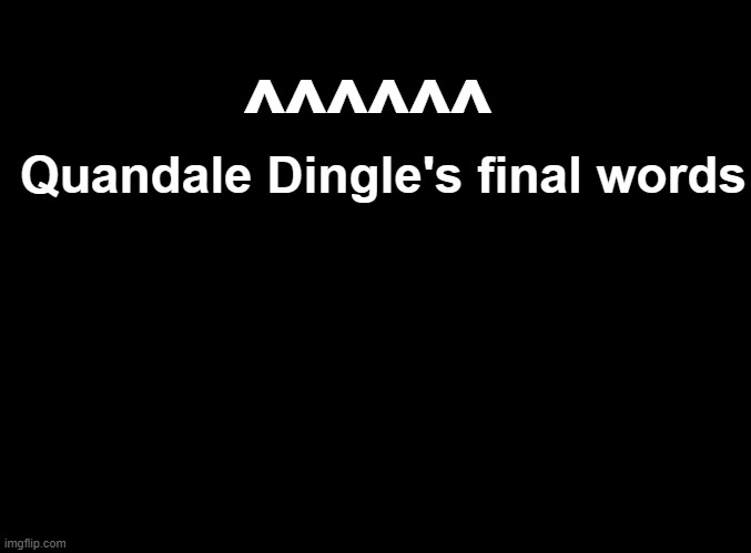 blank black | ^^^^^^; Quandale Dingle's final words | image tagged in blank black | made w/ Imgflip meme maker