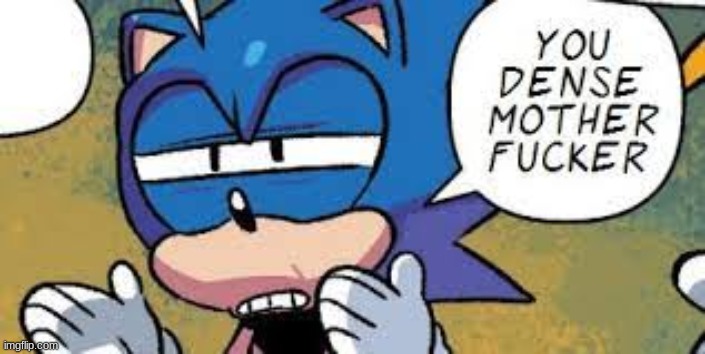 sonic you dense motherfucker | image tagged in sonic you dense motherfucker | made w/ Imgflip meme maker