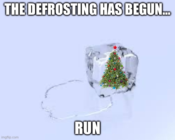 The defrosting has begun.. | THE DEFROSTING HAS BEGUN…; RUN | image tagged in ice cube,memes,christmas is coming | made w/ Imgflip meme maker