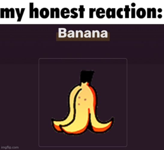 my honest reaction: | image tagged in my honest reaction | made w/ Imgflip meme maker