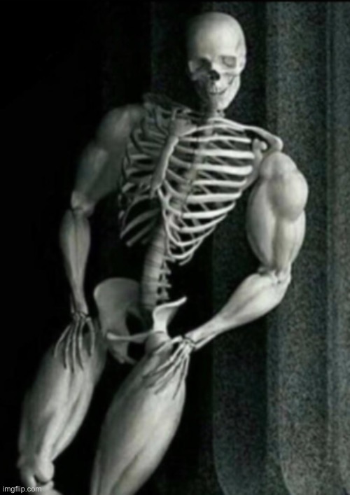 Buff Skeleton | image tagged in buff skeleton | made w/ Imgflip meme maker