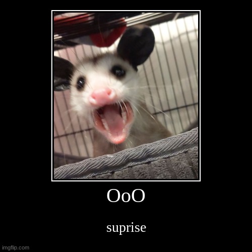 OoO | suprise | image tagged in funny,demotivationals | made w/ Imgflip demotivational maker