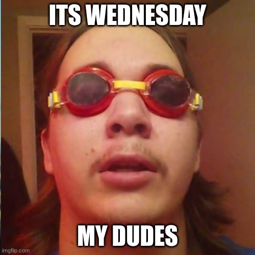 it is wednesday my dudes | ITS WEDNESDAY; MY DUDES | image tagged in it is wednesday my dudes | made w/ Imgflip meme maker