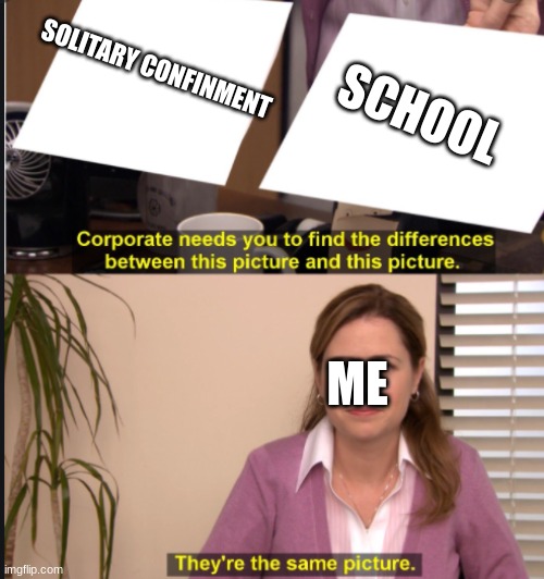 They're the same picture | SCHOOL; SOLITARY CONFINMENT; ME | image tagged in they're the same picture | made w/ Imgflip meme maker