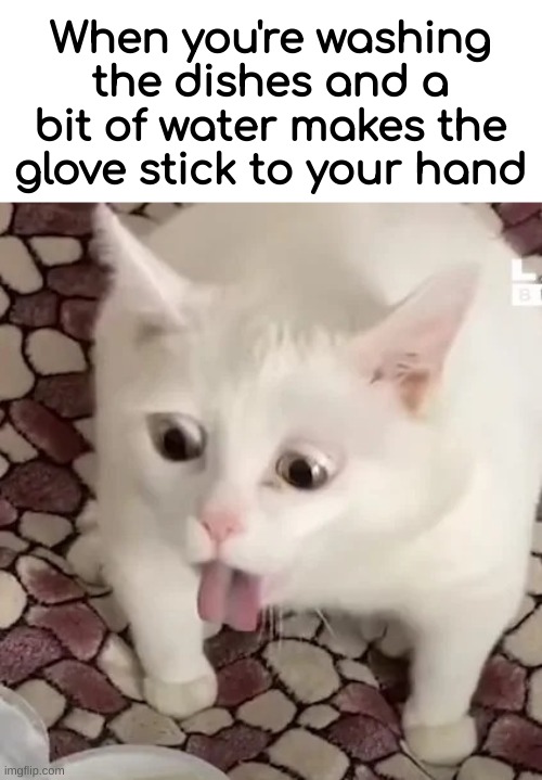 i hate it when this happens | When you're washing the dishes and a bit of water makes the glove stick to your hand | image tagged in cat gag,dive,funny,meme,dishes | made w/ Imgflip meme maker