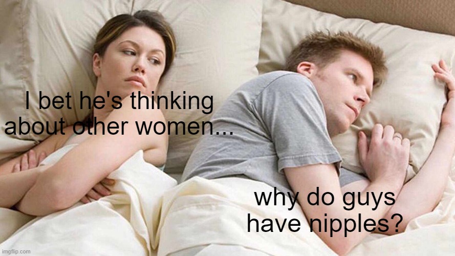I Bet He's Thinking About Other Women Meme | I bet he's thinking about other women... why do guys have nipples? | image tagged in memes,i bet he's thinking about other women | made w/ Imgflip meme maker