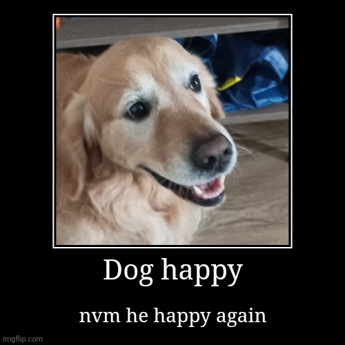 Dog happy | nvm he happy again | image tagged in funny,demotivationals | made w/ Imgflip demotivational maker