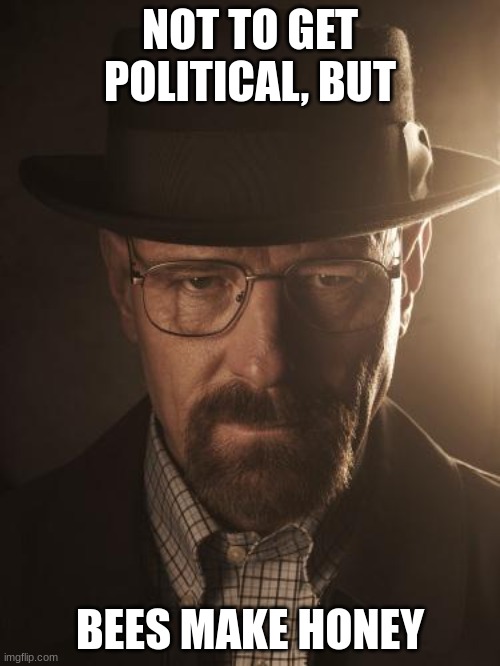 Walter White | NOT TO GET POLITICAL, BUT; BEES MAKE HONEY | image tagged in walter white | made w/ Imgflip meme maker