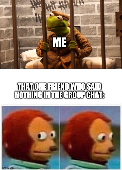ME THAT ONE FRIEND WHO SAID NOTHING IN THE GROUP CHAT: | image tagged in kermit in jail,memes,monkey puppet | made w/ Imgflip meme maker