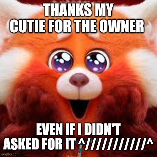 Red Panda cute eyes | THANKS MY CUTIE FOR THE OWNER; EVEN IF I DIDN'T ASKED FOR IT ^///////////^ | image tagged in red panda cute eyes | made w/ Imgflip meme maker