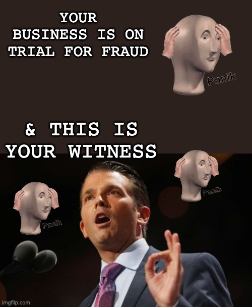 It couldn't happen to a nicer crime family | YOUR BUSINESS IS ON TRIAL FOR FRAUD; & THIS IS YOUR WITNESS | image tagged in donald trump jr,fraud,trump,witness,trial | made w/ Imgflip meme maker