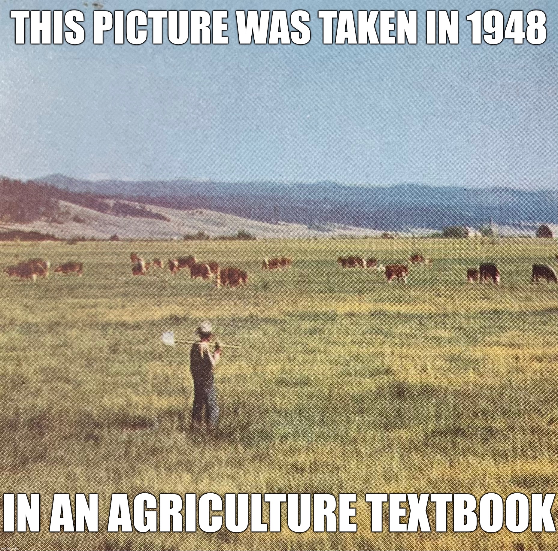 Even with original resolution on, it still looks like a painting | THIS PICTURE WAS TAKEN IN 1948; IN AN AGRICULTURE TEXTBOOK | made w/ Imgflip meme maker