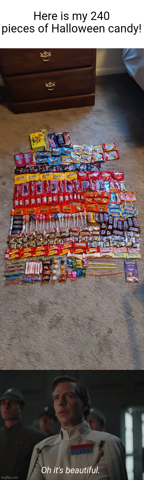 Note in comments (#3,577) | Here is my 240 pieces of Halloween candy! | image tagged in oh it's beautiful,memes,candy,organized,halloween,flick7 | made w/ Imgflip meme maker