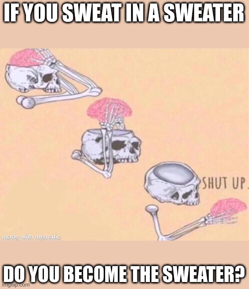 (O_O) | IF YOU SWEAT IN A SWEATER; DO YOU BECOME THE SWEATER? | image tagged in skeleton shut up meme | made w/ Imgflip meme maker