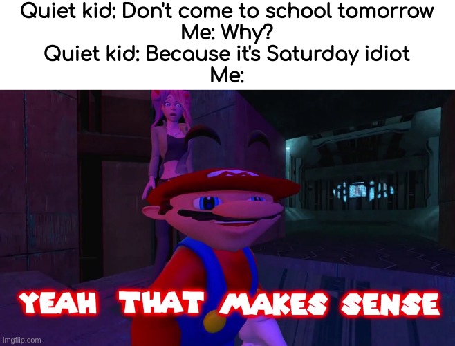 he's not wrong | Quiet kid: Don't come to school tomorrow
Me: Why?
Quiet kid: Because it's Saturday idiot
Me: | image tagged in smg4,mario,dive | made w/ Imgflip meme maker