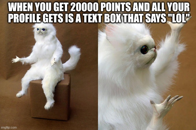 Persian Cat Room Guardian | WHEN YOU GET 20000 POINTS AND ALL YOUR PROFILE GETS IS A TEXT BOX THAT SAYS "LOL" | image tagged in persian cat room guardian,imgflip | made w/ Imgflip meme maker
