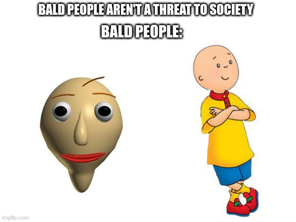Bald people be like | BALD PEOPLE AREN'T A THREAT TO SOCIETY; BALD PEOPLE: | image tagged in funny | made w/ Imgflip meme maker
