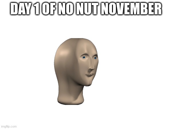 day 1 | DAY 1 OF NO NUT NOVEMBER | image tagged in no nut november,oh wow are you actually reading these tags,stop reading the tags,idk | made w/ Imgflip meme maker