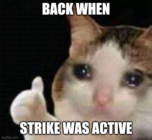 Approved crying cat | BACK WHEN STRIKE WAS ACTIVE | image tagged in approved crying cat | made w/ Imgflip meme maker