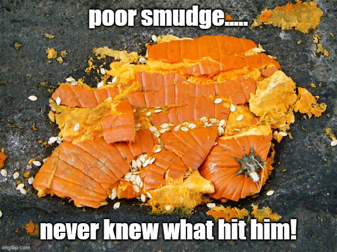 poor smudge..... never knew what hit him! | image tagged in smashed pumpkin | made w/ Imgflip meme maker