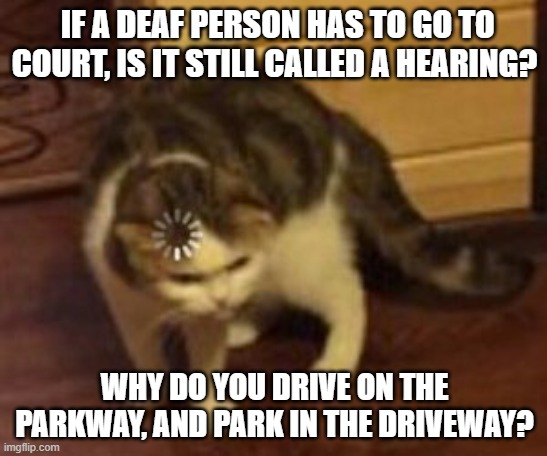 Deep thoughts #2 | IF A DEAF PERSON HAS TO GO TO COURT, IS IT STILL CALLED A HEARING? WHY DO YOU DRIVE ON THE PARKWAY, AND PARK IN THE DRIVEWAY? | image tagged in loading cat,deep thoughts,memes | made w/ Imgflip meme maker