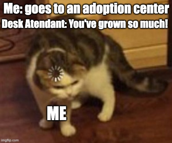 I'm not actually adopted | Me: goes to an adoption center; Desk Atendant: You've grown so much! ME | image tagged in loading cat | made w/ Imgflip meme maker