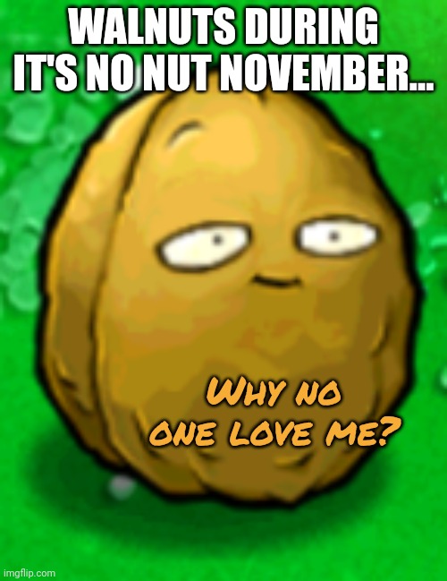 Sussy Walnut | WALNUTS DURING IT'S NO NUT NOVEMBER... Why no one love me? | image tagged in sussy walnut | made w/ Imgflip meme maker