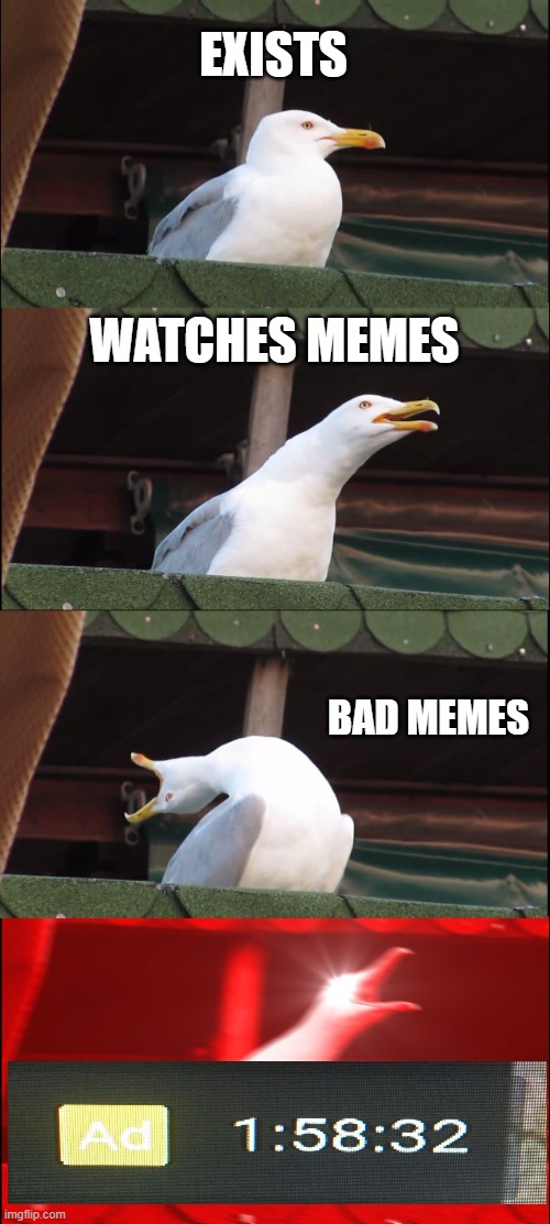 When whatchin memes | EXISTS; WATCHES MEMES; BAD MEMES | image tagged in memes,inhaling seagull | made w/ Imgflip meme maker