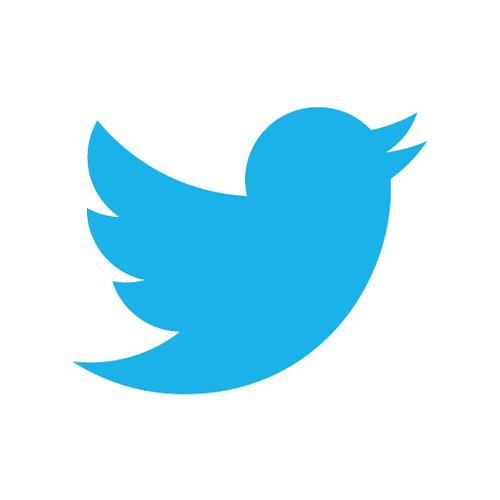 High Quality Twitter birds says Blank Meme Template