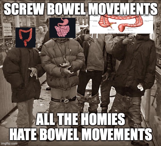IBS BE LIKE | SCREW BOWEL MOVEMENTS; ALL THE HOMIES HATE BOWEL MOVEMENTS | image tagged in all my homies hate | made w/ Imgflip meme maker