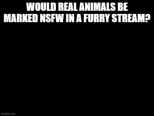 fdcvchcvcbcbyufeycbhdvtfe | WOULD REAL ANIMALS BE MARKED NSFW IN A FURRY STREAM? | made w/ Imgflip meme maker
