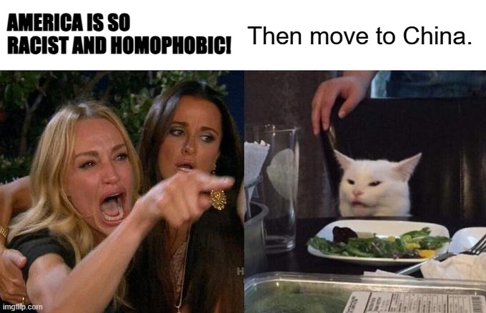 eat dirt, leftists. | AMERICA IS SO RACIST AND HOMOPHOBIC! Then move to China. | image tagged in memes,woman yelling at cat | made w/ Imgflip meme maker