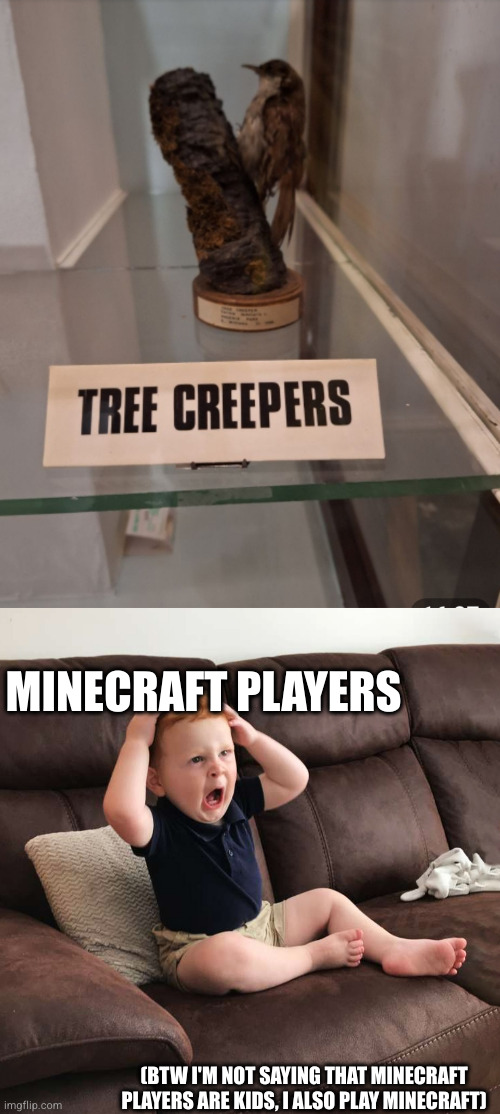 tree creeper | MINECRAFT PLAYERS; (BTW I'M NOT SAYING THAT MINECRAFT PLAYERS ARE KIDS, I ALSO PLAY MINECRAFT) | image tagged in terrified toddler,random tag | made w/ Imgflip meme maker